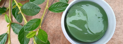 Eclipse Beauty Увлажняющие патчи для глаз с авокадо