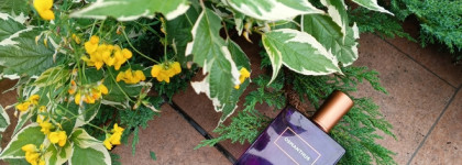 Палитра месяца. Molinard Osmanthus