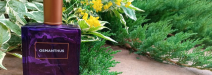 Палитра месяца. Molinard Osmanthus
