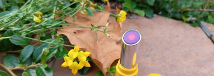 Палитра месяца. L'occitane Fruity Lipstick 080 Provence Calling