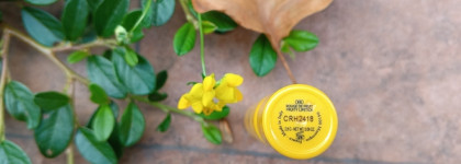 Палитра месяца. L'occitane Fruity Lipstick 080 Provence Calling