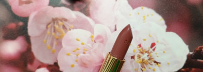 Лучшее из люкса. Chanel Rouge Coco Ultra Hydrating Lip Colour №434 Mademoiselle