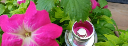 Нота ладан. Calvin Klein Downtown