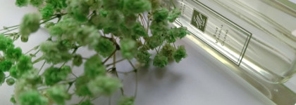 Дни лёгкости. Jo Malone Star Magnolia