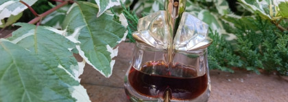 Гурманика. Mugler Alien Essence Absolue