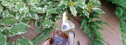 Гурманика. Mugler Alien Essence Absolue