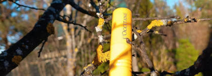 Палитра месяца. L'occitane Fruity Lipstick 010 Nude Infusion