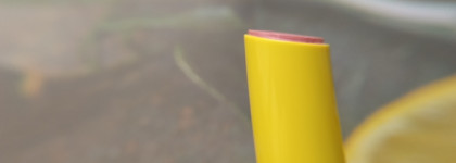 Палитра месяца. Vivienne Sabo Le Mon Citron Colored Lip Balm №01