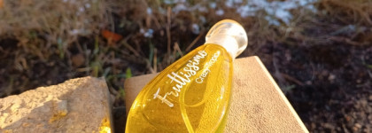 Палитра месяца. Brocard Fruttissimo Crazy Tropic