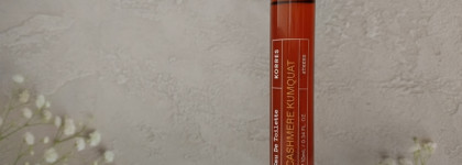 Итоги осени и зимы 2024