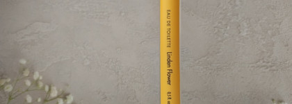 Итоги осени и зимы 2024