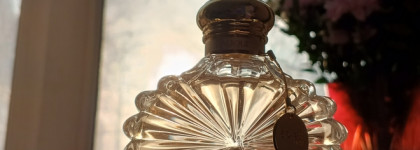 Подготовка к празднику. Lalique Soleil