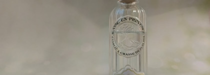 Ароматы, которые я носила "запоем" в 2024 году