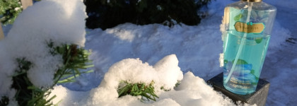 Палитра месяца. Victoria's Secret Aqua Kiss 