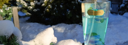 Палитра месяца. Victoria's Secret Aqua Kiss 