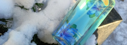 Палитра месяца. Victoria's Secret Aqua Kiss 