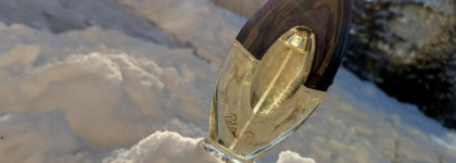 Альдегиды. Paloma Picasso Paloma EDT