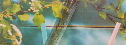 Нота цитрус. Dolce&Gabbana Devotion Pour Homme