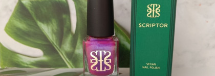 Scriptor Vegan Nail Polish Кура