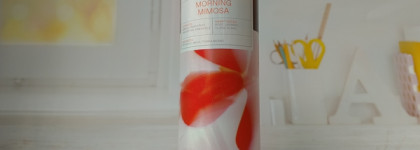 Моя система ухода за телом в 2025 году