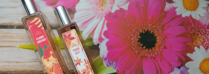 Brocard Day Dreams Flame Orchid и Tiger Lily