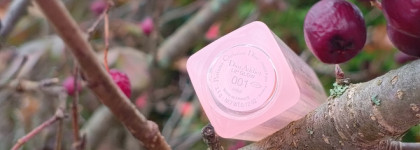 Dior Day. Dior Addict Lip Glow №001 Pink
