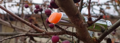 Dior Day. Dior Addict Lip Glow №001 Pink