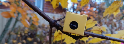 Без проблем! Eclipse Beauty Увлажняющее масло-блеск для губ в оттенке Манго