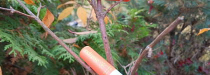 Без проблем! Eclipse Beauty Бальзам для губ меняющий цвет