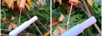 Без проблем! Eclipse Beauty Бальзам для губ меняющий цвет