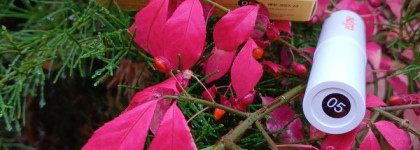 Палитра месяца. Eclipse Beauty Кремовые румяна в стике №05 Цветочная Луна