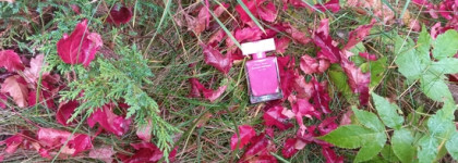 Палитра месяца. Narciso Rodriguez For Her Fleur Musc