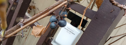 Нота кашемир. Narciso Rodriguez Pure Musc For Her