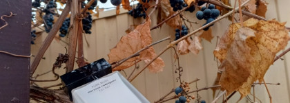 Нота кашемир. Narciso Rodriguez Pure Musc For Her