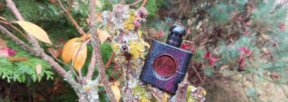 Нота кашемир. Yves Saint Laurent Black Opium