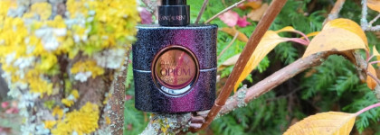 Нота кашемир. Yves Saint Laurent Black Opium