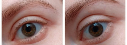 Отличная бюджетная тушь для бровей Ninelle Bohemia Tinted Eyebrow Mascara №644