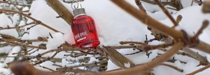 Палитра месяца. Cacharel Amor Amor