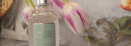 Matcha Week. Ноты зеленого чая