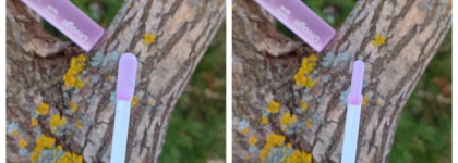 Палитра месяца. Divage Dewy Lip Oil масло-блеск в оттенке Blackberry Ежевика