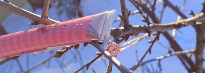 Чудовищный блеск для губ Essence Get The Glaze Lip Cream №01 Vanilla Strawberry Drip