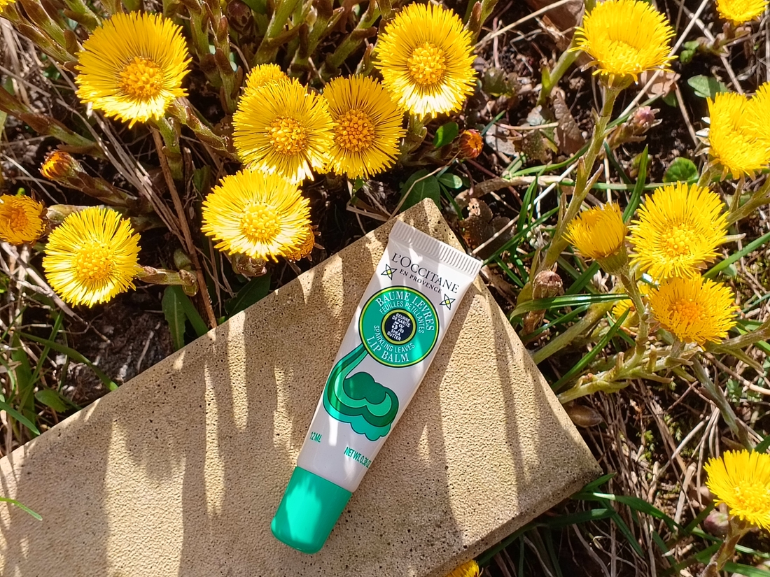 L'Occitane En Provence Lip Balm Sparkling Leaves Бальзам для губ Карите-Олива