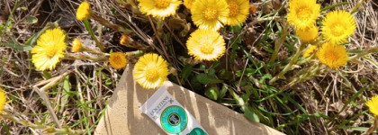 L'Occitane En Provence Lip Balm Sparkling Leaves Бальзам для губ Карите-Олива