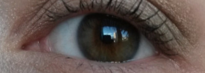 Такая по-настоящему осенняя палетка теней  "Les 4 Ombres" от Chanel в оттенке 254 (из осенней коллекции 2015 года)