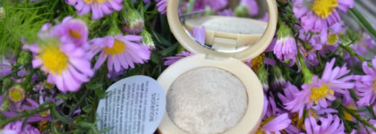 Тени Bourjois Intense Еxtrait № 01