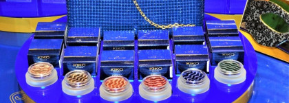 Kiko Milano Fall2.0. Magnetic Eyeshadow