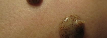 Скрабы. Чистая Линия VS Черный Жемчуг