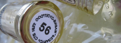 Уйду в ноябрь. С помадой LuxVisage 56