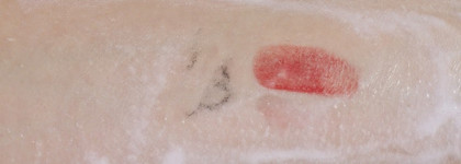 Остров невезения в океане восхищения Shiseido. Часть 1: Ibuki