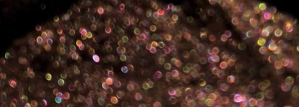 Дыхание осени. Пигмент Tammy Tanuka "Кудесница сливовой рощи"